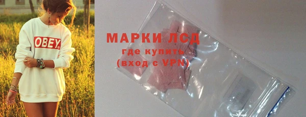 хмурый Вяземский