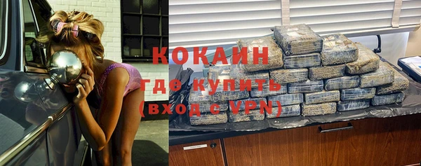 хмурый Вяземский