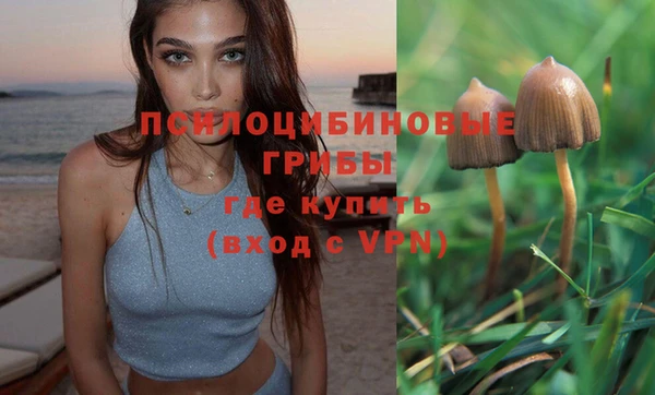 первитин Вязьма