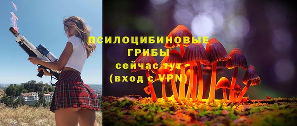хмурый Вяземский