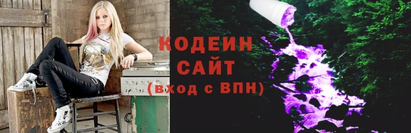 мдпв Инсар