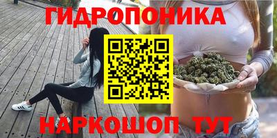 метадон Гусь-Хрустальный