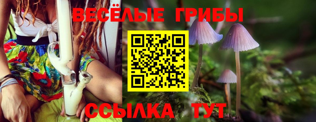 Галлюциногенные грибы GOLDEN TEACHER Ишим