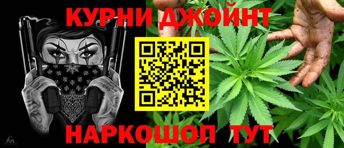 Конопля сатива Ишим
